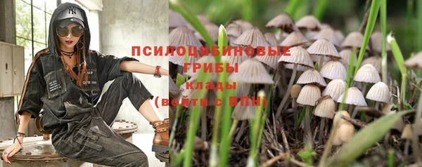 гашиш Володарск