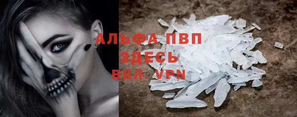 ПСИЛОЦИБИНОВЫЕ ГРИБЫ Вязьма