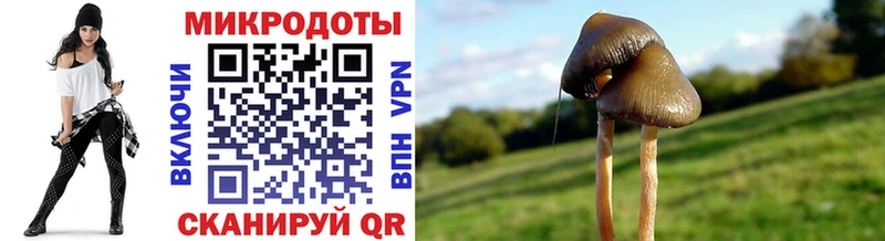 Галлюциногенные грибы мицелий  Купить где  Талица 